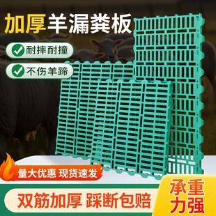 加厚羊用漏粪板养羊用的漏粪板羊圈羊棚羊舍塑料羊床地板养殖设备