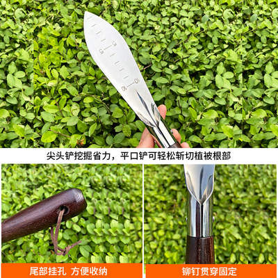 小铲子挖野菜园艺工具神器不锈钢家用种挖蒜除草农用种菜户外赶海