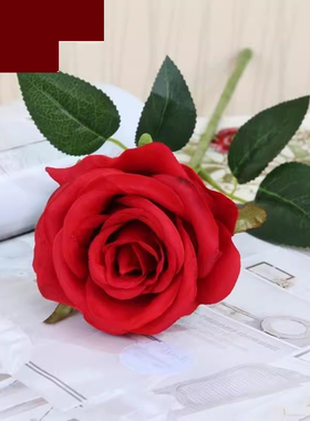 美容院会所美容床上房间用品装饰用干花植物塑料花摆件装饰