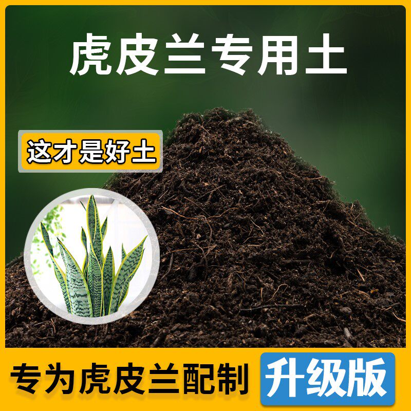 虎皮兰专用土家用种植土透气虎皮兰营养土盆栽种花养花有机土肥料
