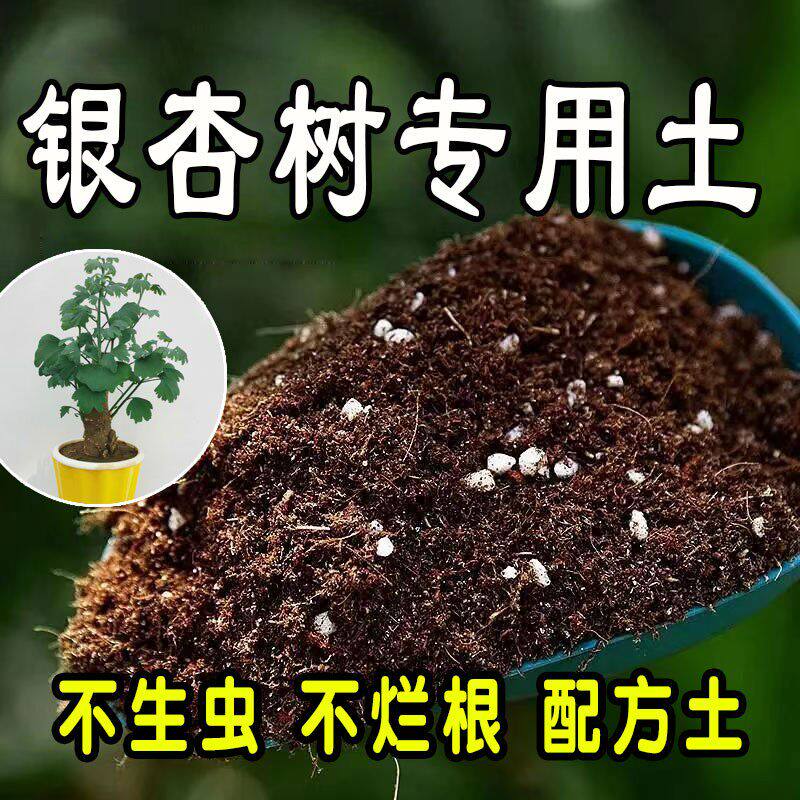 【银杏树专用土】营养土家庭盆栽绿植室内植物肥料种植土