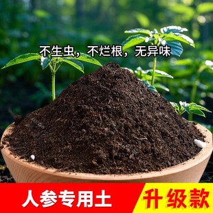 人参专用土透气花卉土育苗土盆栽土养花土人参苗专用营养土种植土