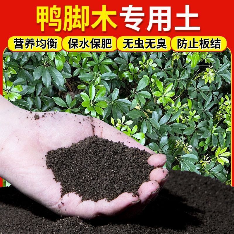 鸭脚木专用土盆栽专用营养土通透气肥沃通用养花土绿植种植有机肥图片