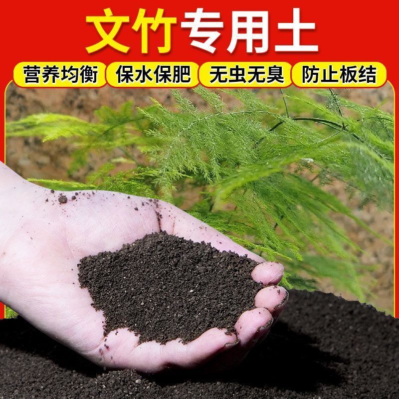 文竹专用土文竹营养土疏松透气弱酸性有机土养绿植养花通用种植土