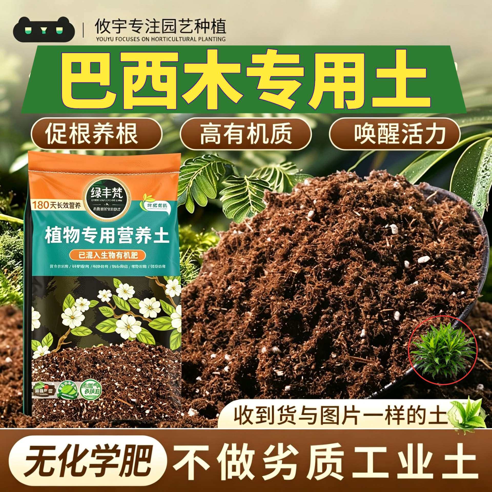巴西木适用营养土干净无杂花卉种植土天然优化根际实惠装木本家庭