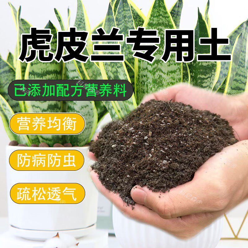 虎皮兰专用土花土营养土家用通用虎尾兰营养土种植土养殖专用肥料