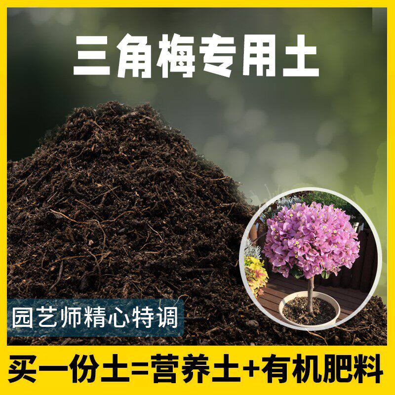 三角梅专用土腐殖土种花养花盆栽绿植土三角梅营养土种植有机土壤