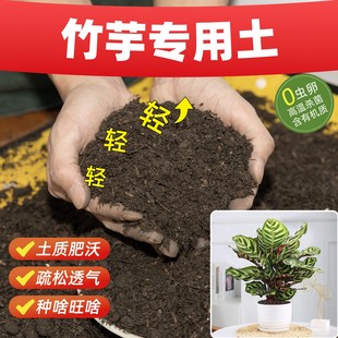竹芋专用营养土防板结培养土促生根花卉抗病防虫疏松土壤泥土盆景