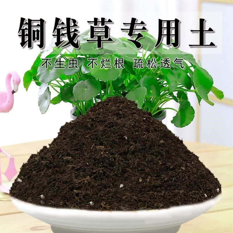 铜钱草专用土铜钱草土种植土壤营养土盆栽种花泥土透气通用养花土