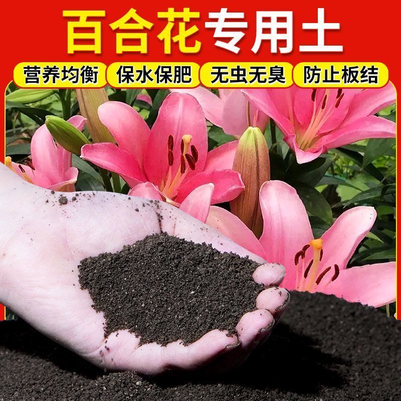 百合花营养土百合花专用种植士阳台养花盆栽绿植轻质有机肥料土壤