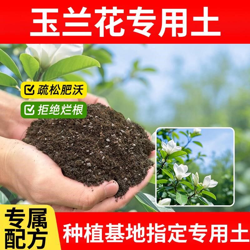 玉兰花专用土绿植物玉兰花专用营养土天然花卉花草花园花肥栽培土