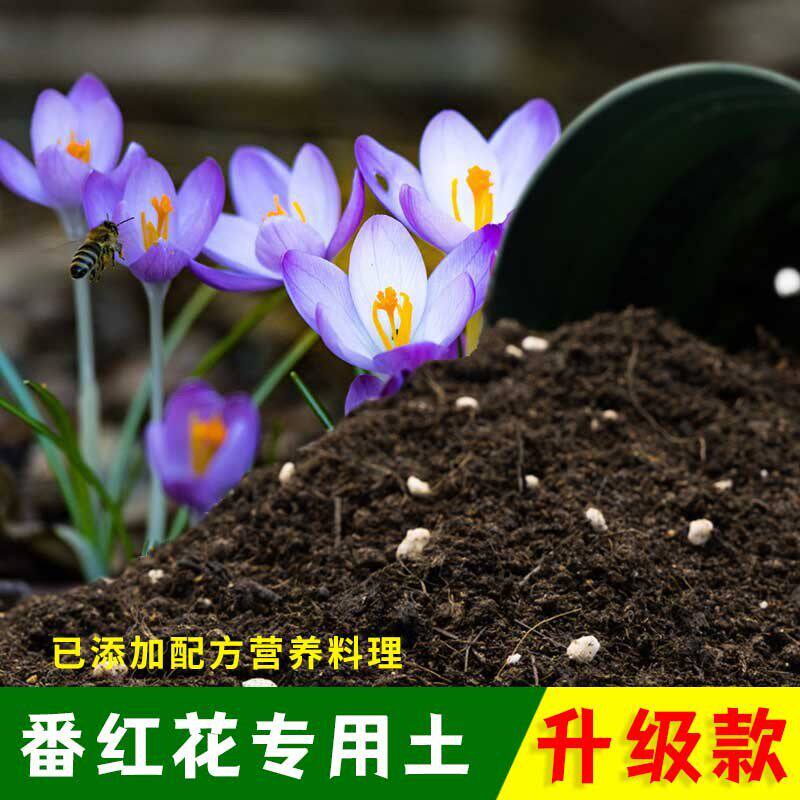 番红花专用土番红花营养土有机土肥料家用种植土盆栽种花养花泥土