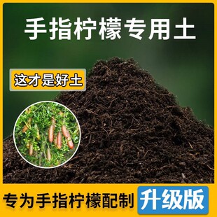 手指柠檬专用土手指柠檬营养土家用种植土壤家庭盆栽种花花有机土