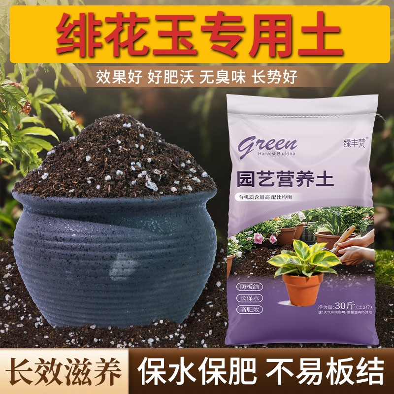 绯花玉适用养花土保水锁肥保水保肥扦插大包优质绿叶喜酸包邮育苗
