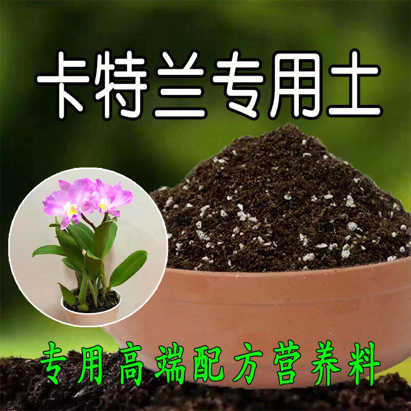 卡特兰专用土腐殖土营养土专用肥料盆栽有机土壤天然种植兰花土