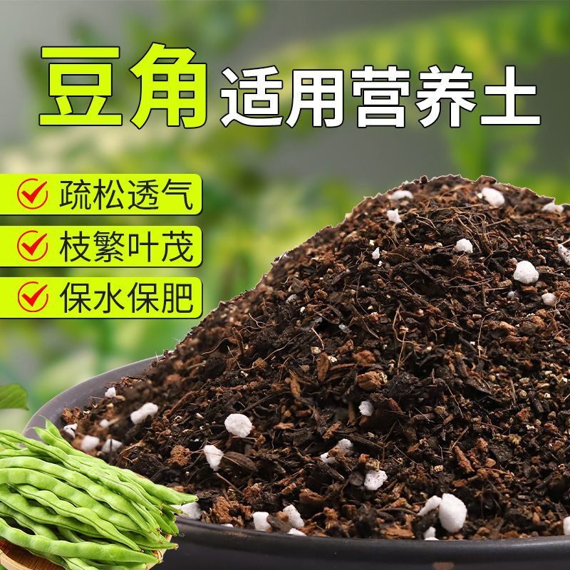 豆角天然腐殖营养土保水锁肥加珍珠岩花园大包育苗园艺无菌干净