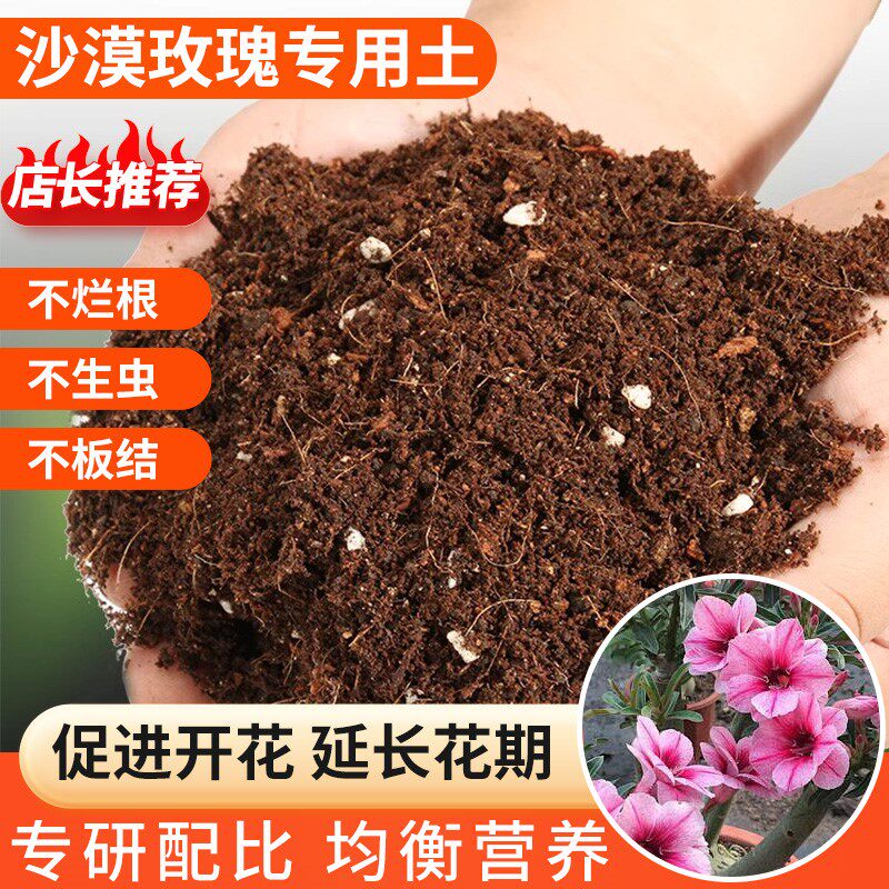 沙漠玫瑰专用土营养土沙漠玫瑰盆栽土种植土沙漠玫瑰花土肥料包邮