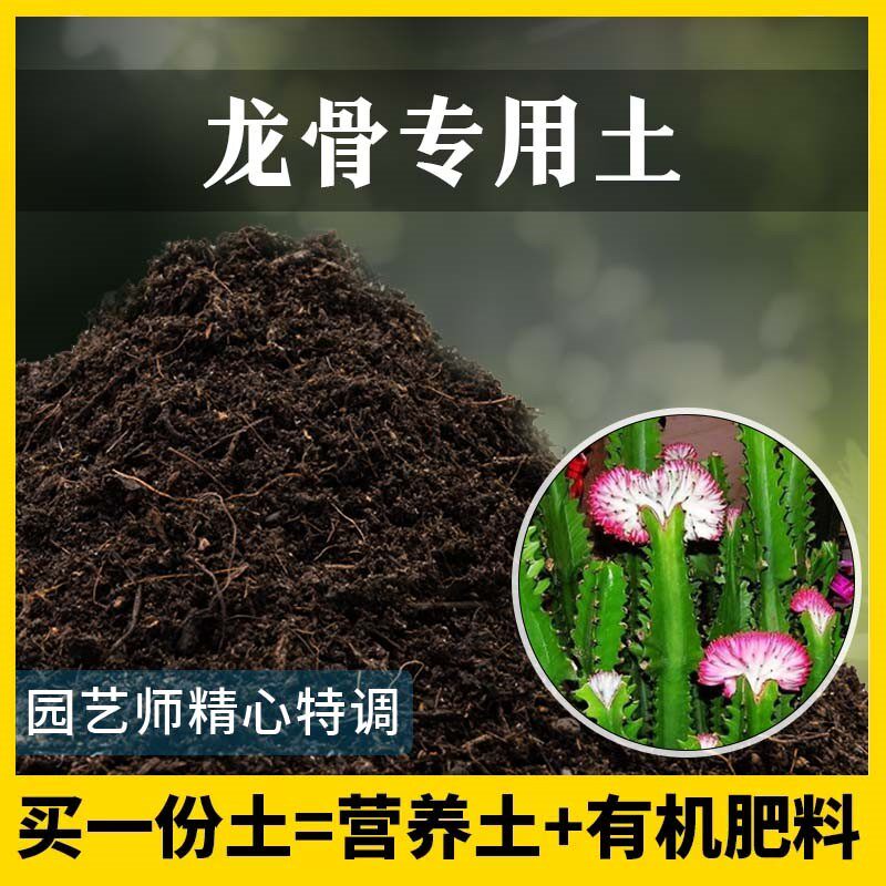 龙骨专用土家用养花肥料有机土壤种植土龙骨营养土植物种花盆栽土