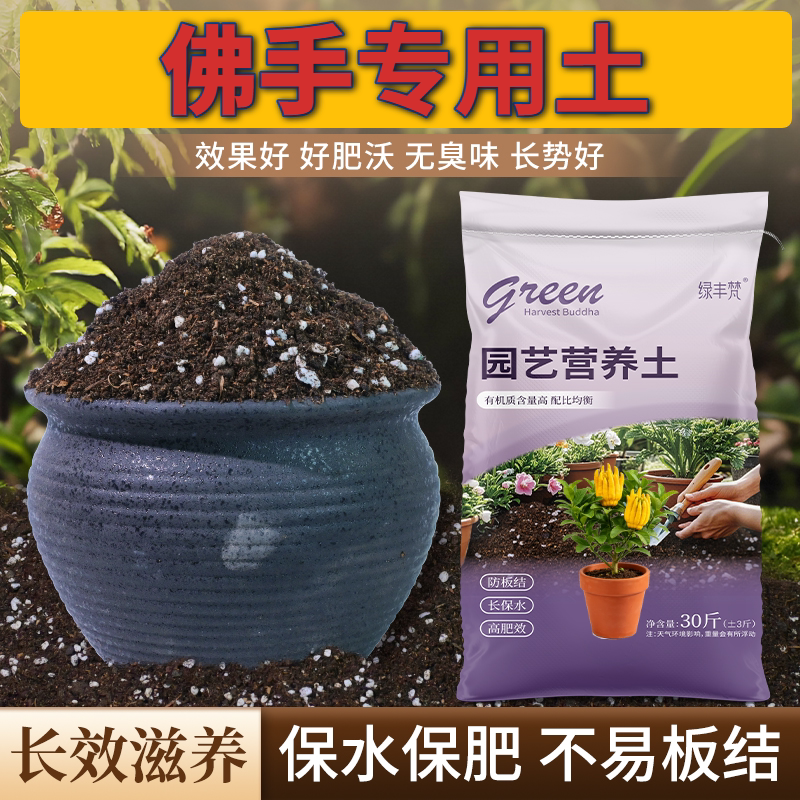 佛手专用种植土防烂根花园加深生根粉有机促生长多肉根壮苗好增色