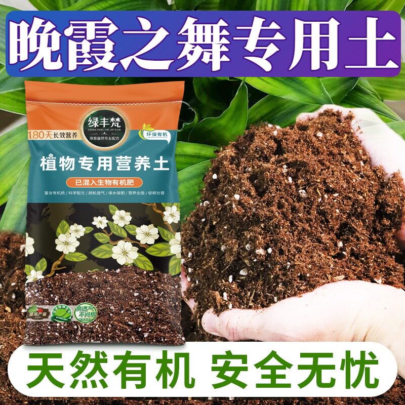 晚霞之舞适用花土根壮苗好盆栽营养土安全可靠留存肥力无草籽多肉