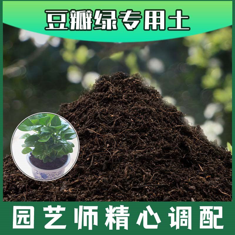 豆瓣绿专用土腐殖土种花养花盆栽土豆瓣绿营养土肥料种植有机土壤