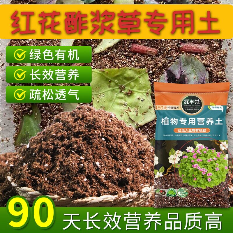 红花酢浆草适用土壤不板结盆栽种植土无菌促生长家用装观花进口