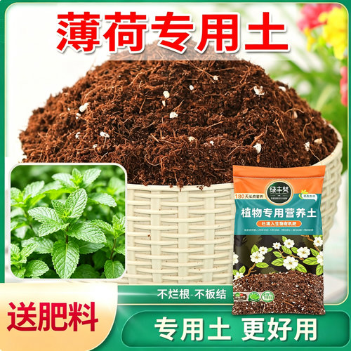 薄荷专用轻质土疏松透气阳台香草植物盆栽营养土种植土
