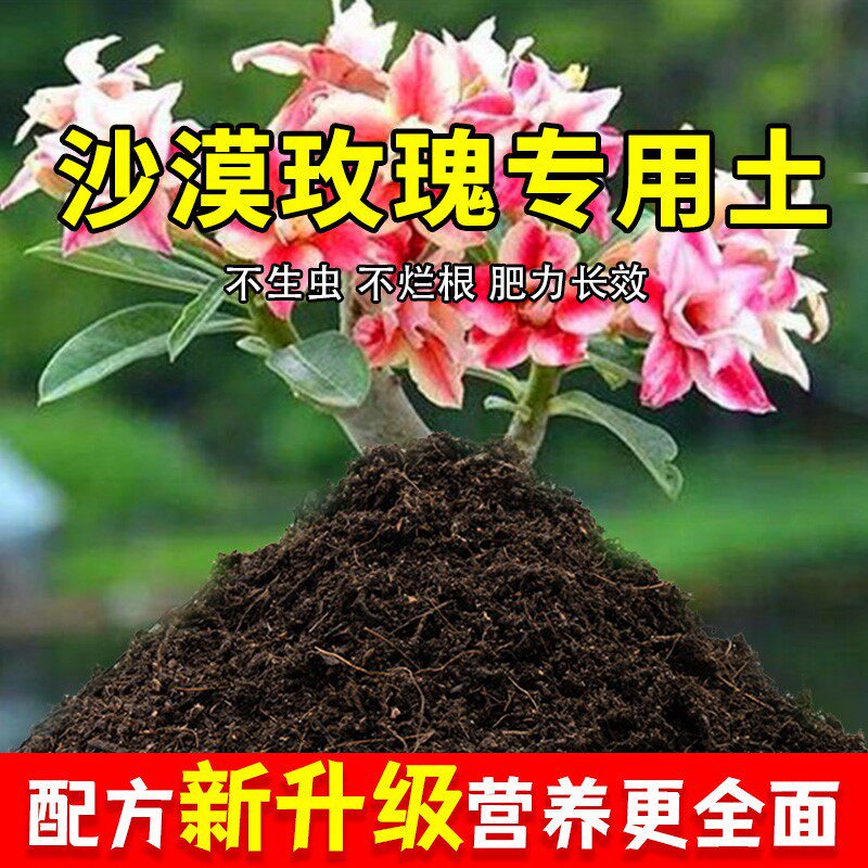 沙漠玫瑰专用土土壤花盆绿植酸性园艺果蔬花土植物透气室内家用