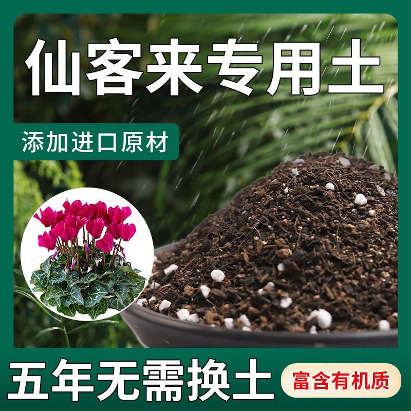 【送礼包】仙客来专用土疏松透气盆栽绿植专用室内植物营养土肥料