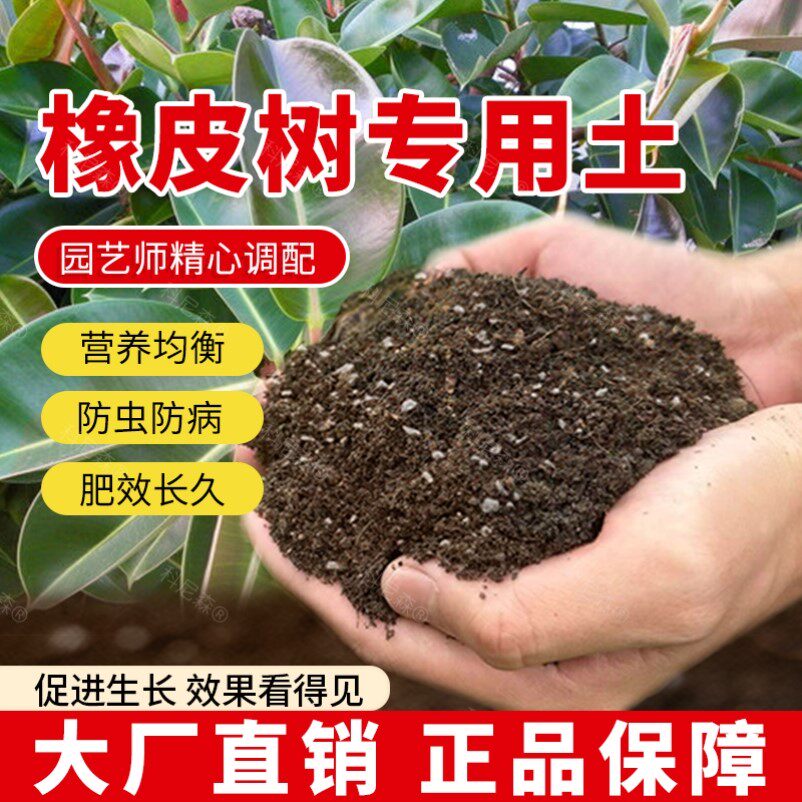 橡皮树专用土肥料有机土橡皮树营养土园艺花盆花卉绿植椰砖种花
