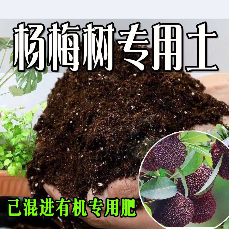 杨梅树专用土 营养土通用型有机种花养花土绿植有机肥料种植土壤