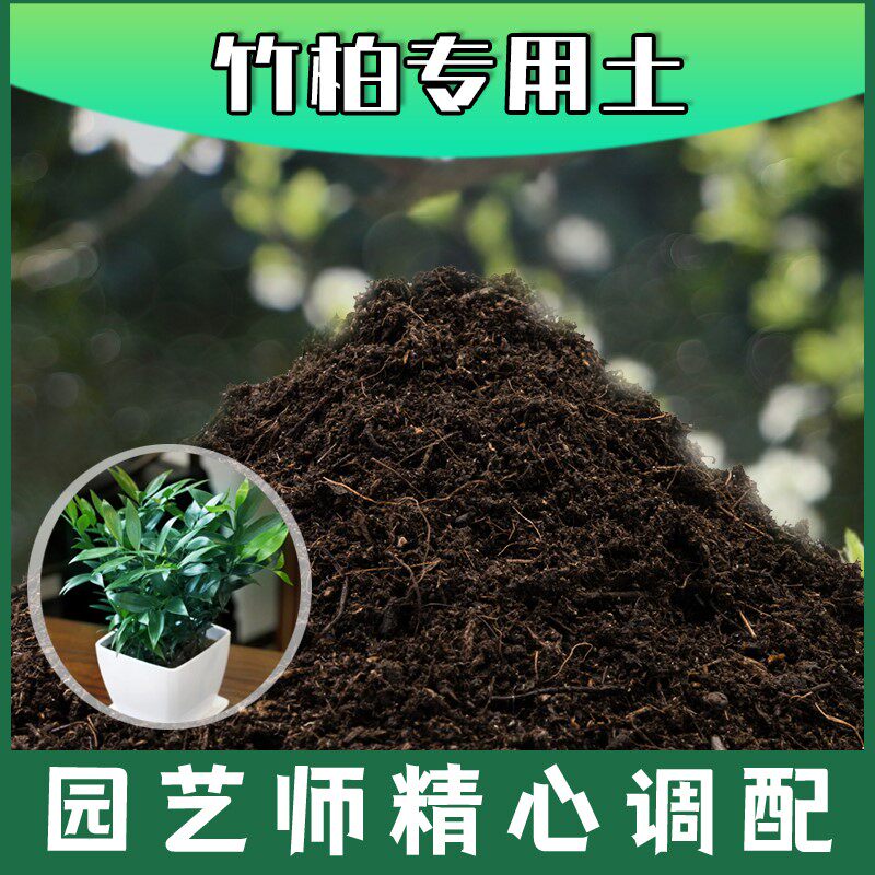 竹柏专用土腐殖土种花养花盆栽土竹柏营养土种植有机土壤肥料花土