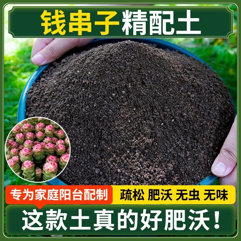 钱串子营养土种菜专用土清仓种花专用有机肥料土多肉扦插育苗土壤