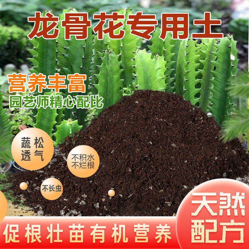 龙骨花专用土营养土室内阳台盆栽种植土仙人掌植物通用土肥料包邮
