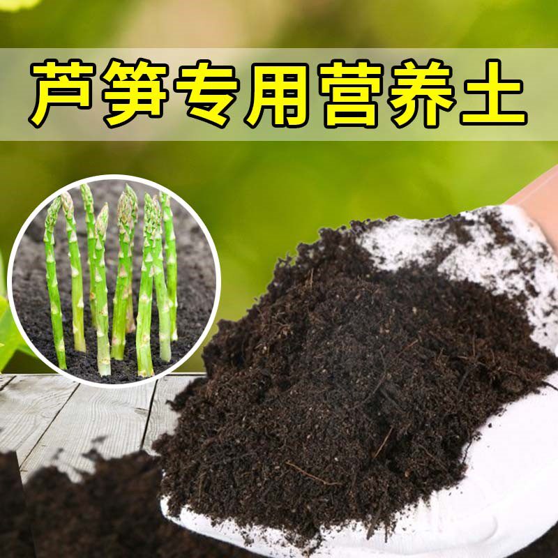 芦笋家用种植土腐叶土根壮苗好防烂根扦插室内加深生根粉盆栽阳台