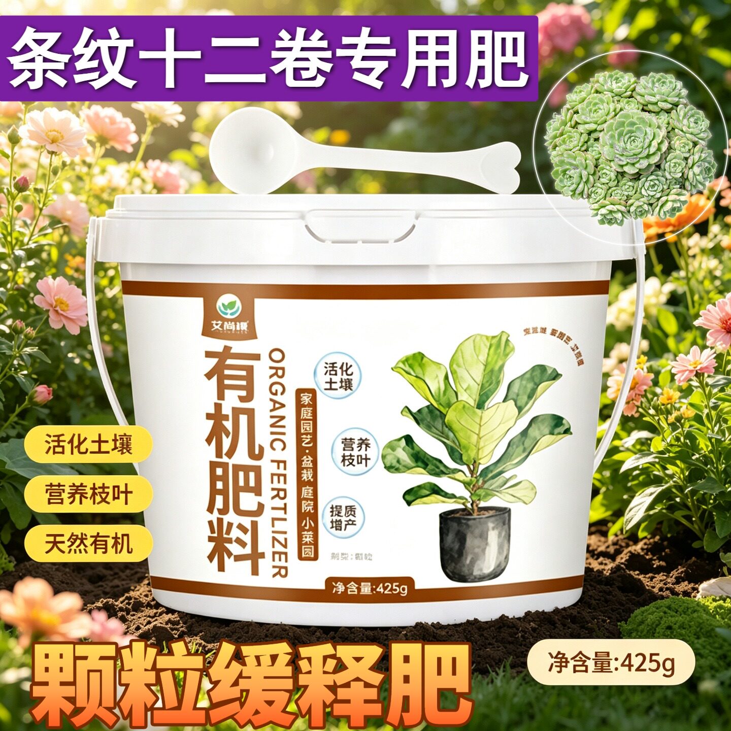 条纹十二卷适用肥复合肥壮苗促长盆栽阳台追肥室内平衡肥枝繁叶茂