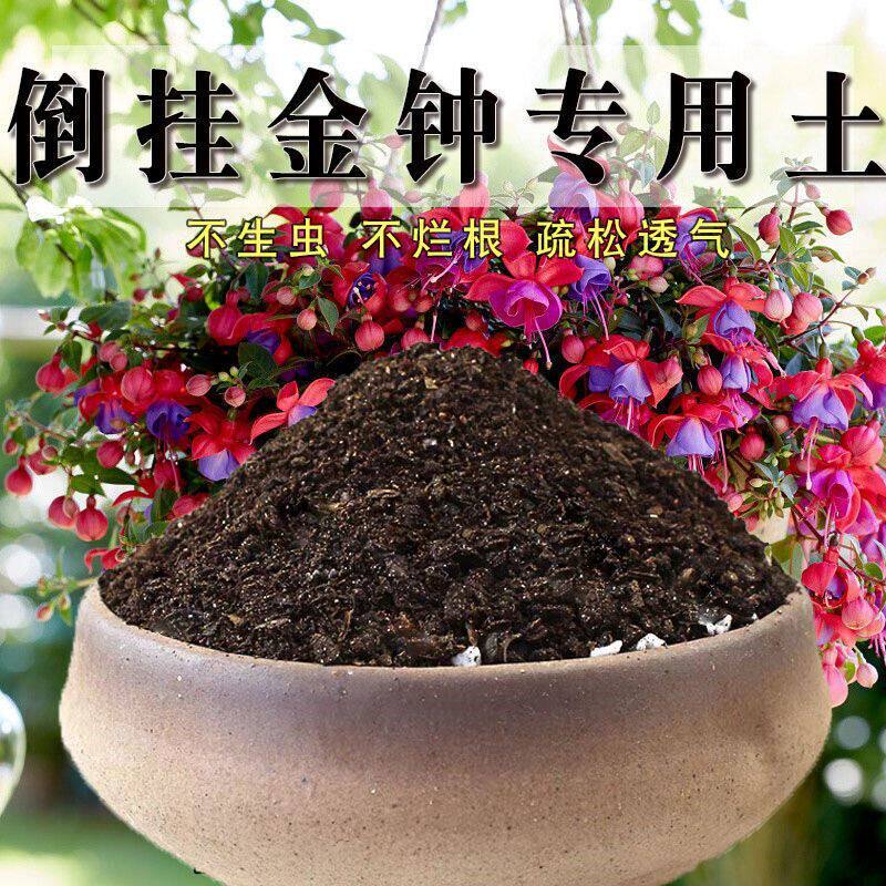 倒挂金钟专用土灯笼花酸性营养土花卉种植土壤养花种植土泥土家用