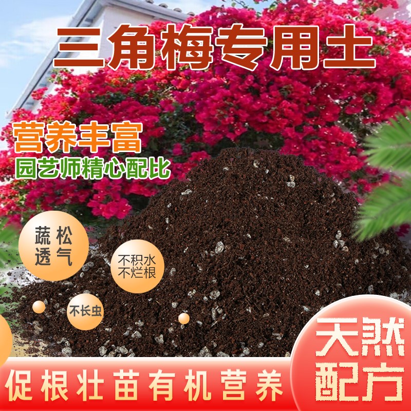 三角梅基地专用花土家庭园艺盆栽营养土微酸土壤解决不开花促开花
