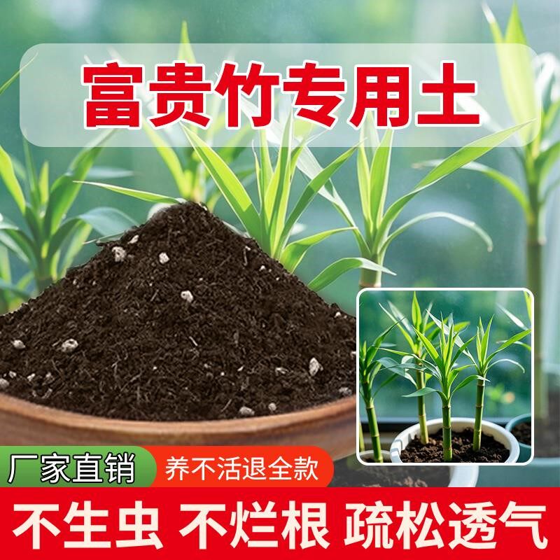 富贵竹专用土盆栽透气多肉土室内养花专用土通用土壤泥土花园种植