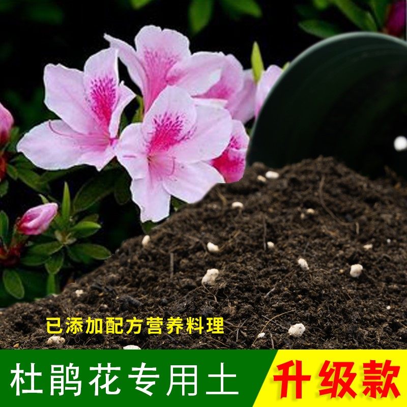 杜鹃花专用土营养土包邮土壤养花种植土泥土通用型营养土盆栽肥土