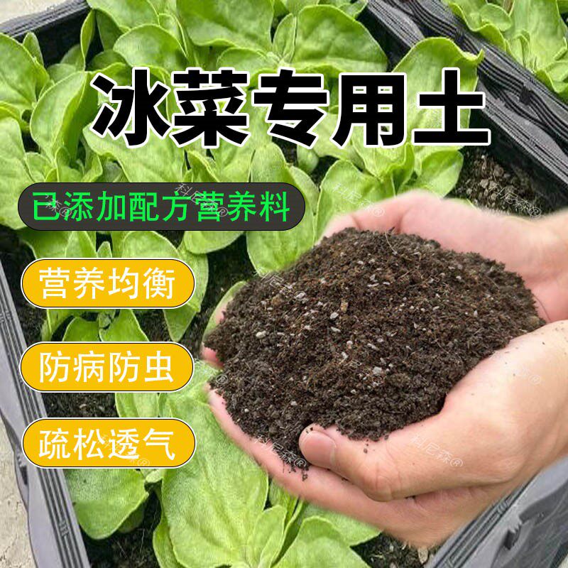 冰菜专用土疏松透气冰菜营养土家庭菜园种菜通用有机土阳台盆栽土
