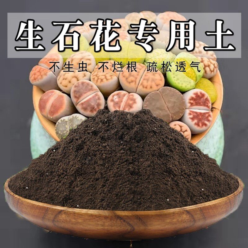 生石花专用土家庭生石花专用营养土发酵透气花肥种菜盆栽土壤阳台