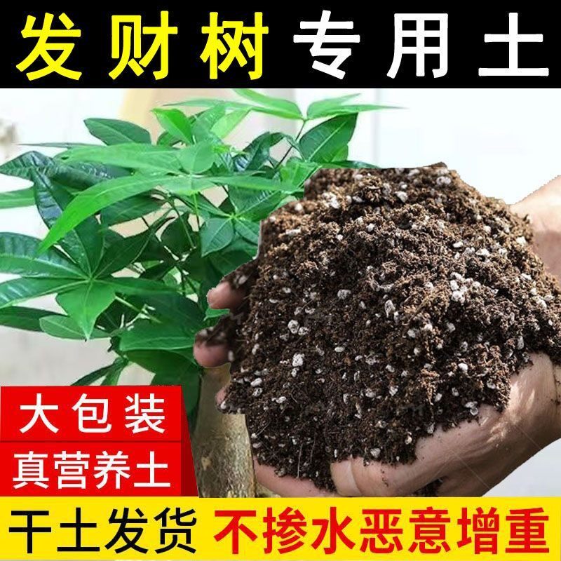 发财树种植土壤家庭园艺营养土客厅种花养花绿植土疏松透气有机土