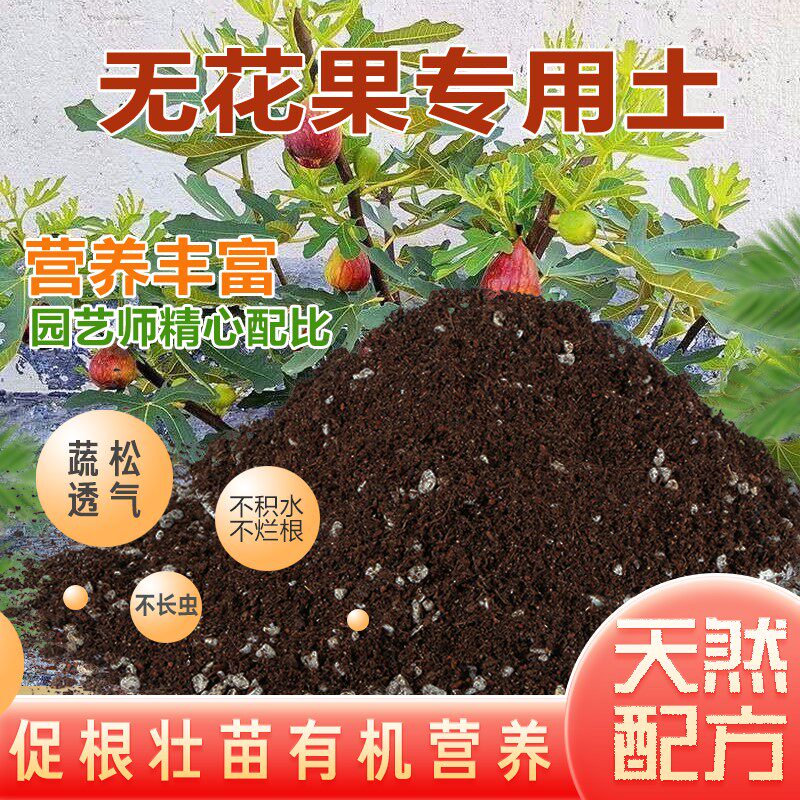 无花果专用土盆栽无花果营养土通用沙质土壤养花土绿植种植土肥料