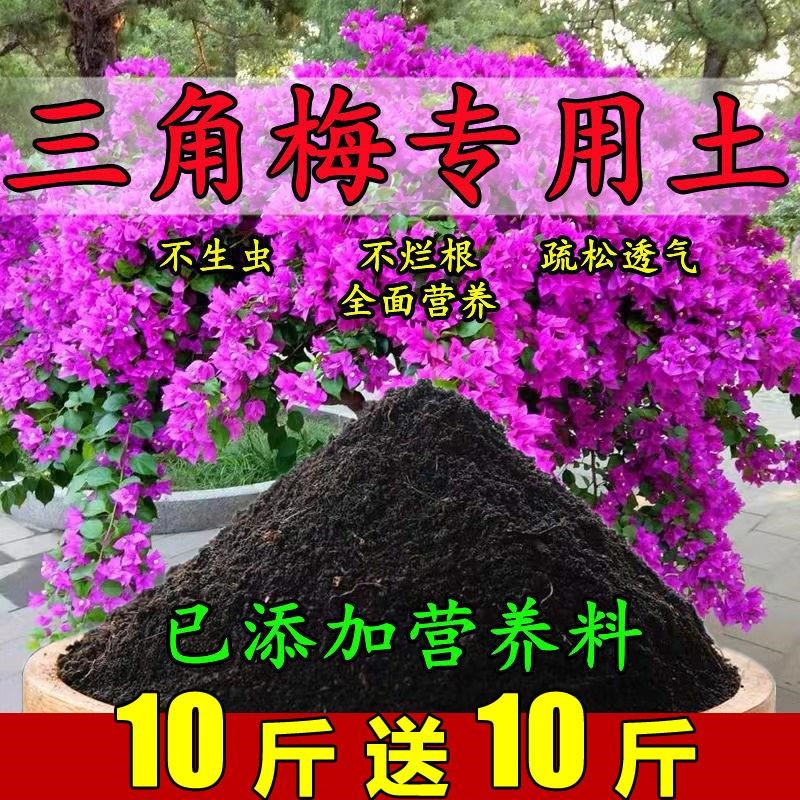 三角梅专用土三角梅开花专用肥透气家用盆栽土营养土壤种花养花土图片