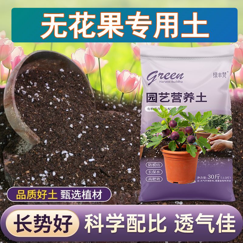 无花果适用种菜土不烂根阳台加牛粪优质防黄叶观花营养土加珍珠岩