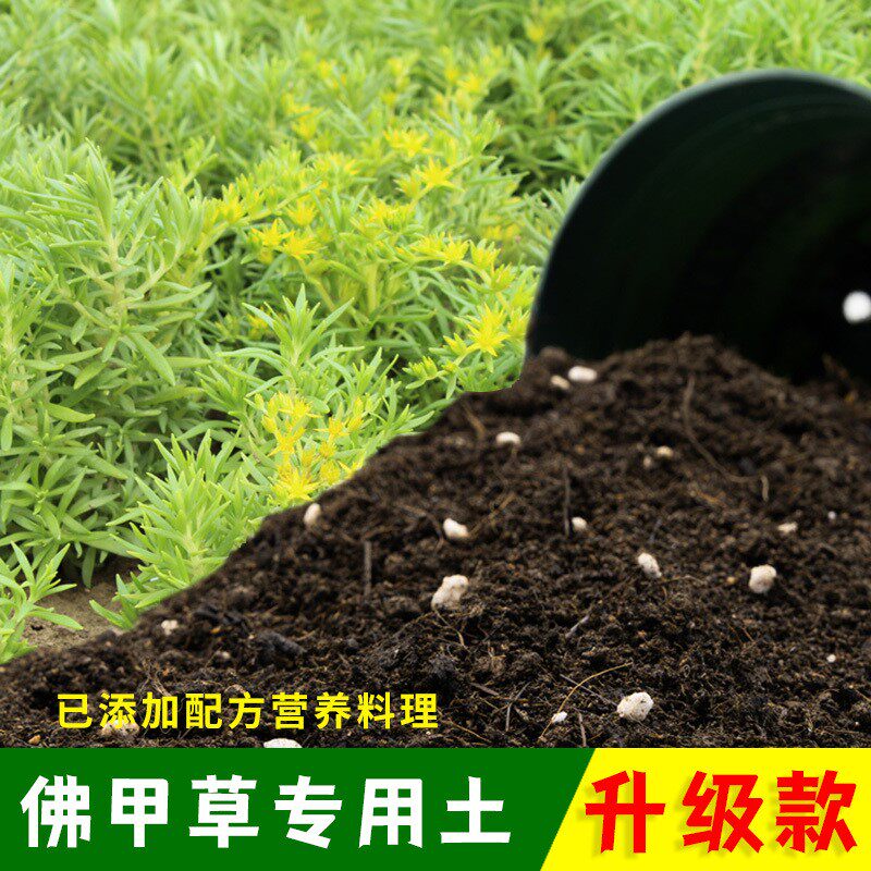 佛甲草专用土有机土肥料家用种植土佛甲草营养土盆栽养花通用包邮