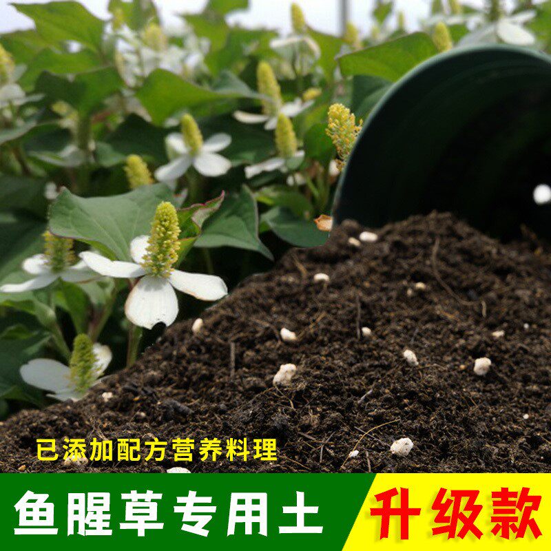 鱼腥草专用土有机土肥料家用种植土鱼腥草营养土盆栽养花通用包邮