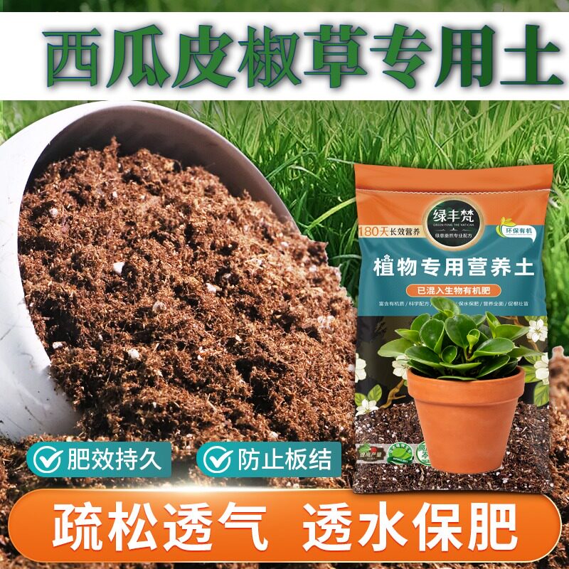 西瓜皮椒草适用腐殖土科学配比盆栽土无菌留存水分开袋即用喜酸