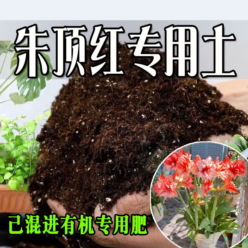 朱顶红专用土 营养土通用型有机种花养花土绿植有机肥料种植土壤